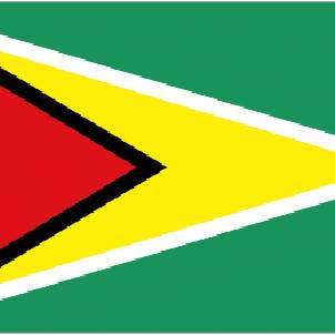 Worldwide Flags Ltd - Wholesale Flag - Guyana 3' x 2'