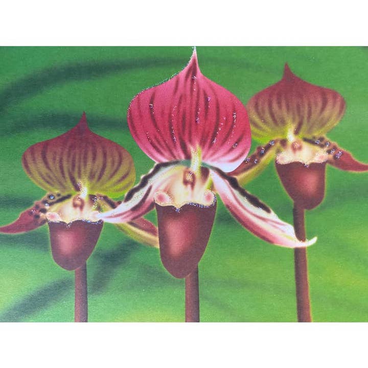 Studio Daedre - Wholesale Everyday Greeting Card - Lady Slipper Flower, Everyday Card - Loose Card