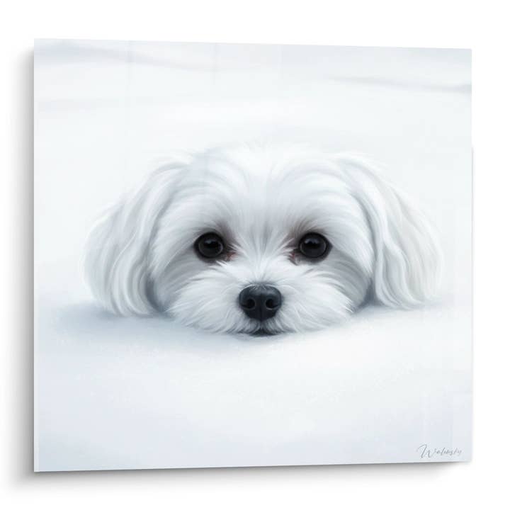 White Dog with Tender Eyes Emerging from Clouds Painting - Celestial Softness - Maltese Bichon Edition for wholesale by Walensky