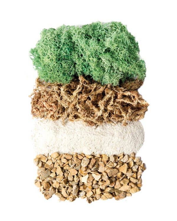 SuperMoss - Vendita all'ingrosso Kit per lavoretti fai da te - Kit terrario fai da te, barattolo Laguna, barattolo Mason da 32 once1