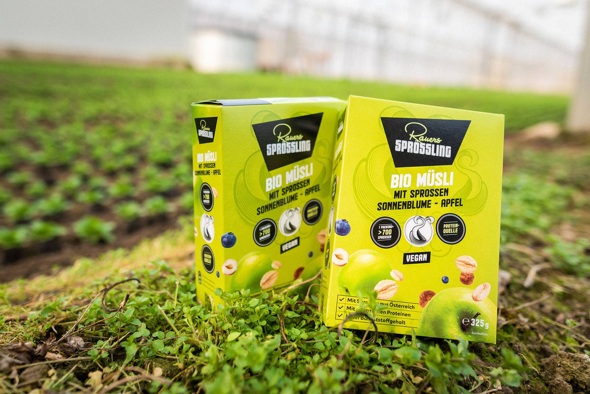 Rauers Sprössling - Wholesale Breakfast Cereal - organic cereal with sprouts sunflower apple4