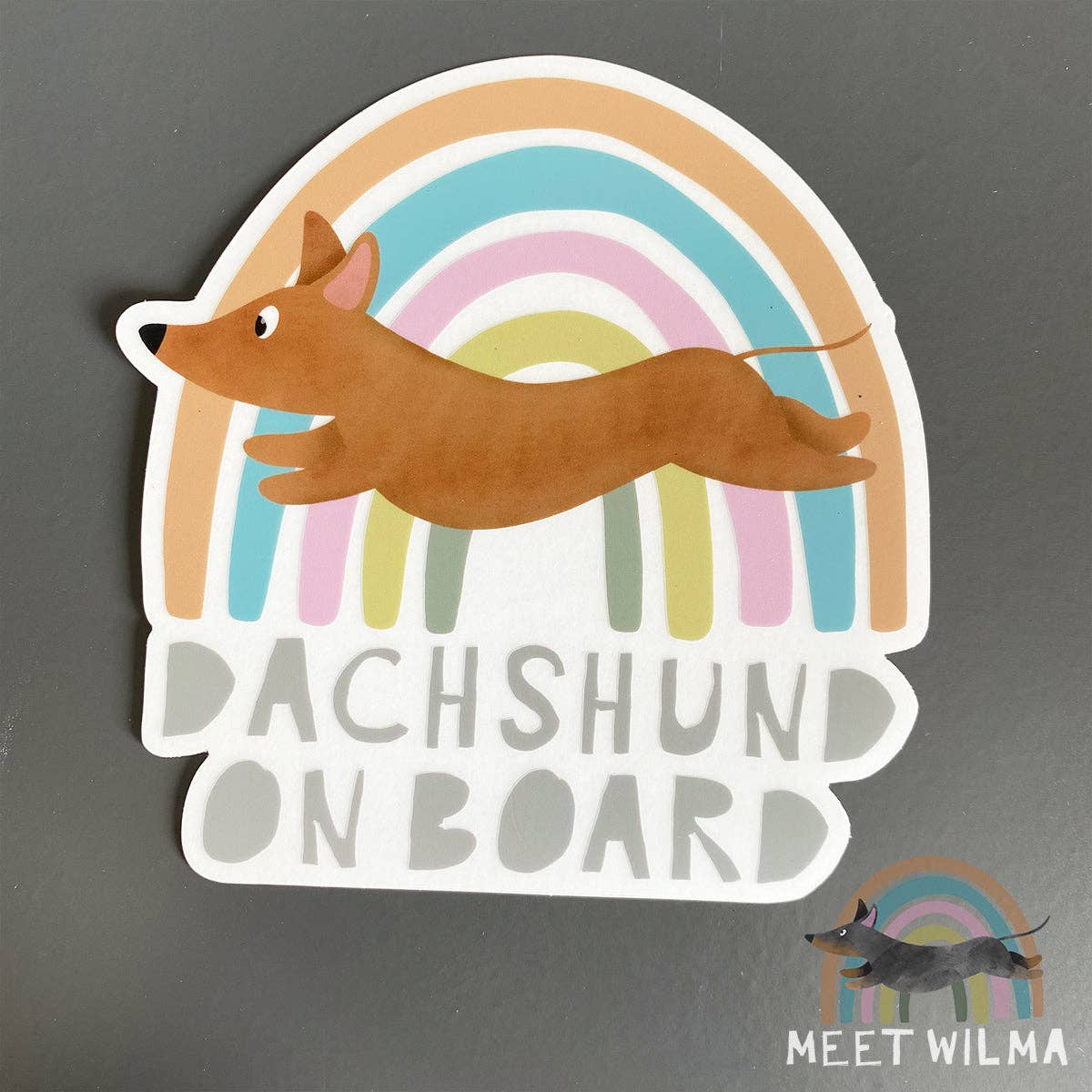 Meet Wilma - Wholesale Sticker - Car Sticker "Dachshund on board"2