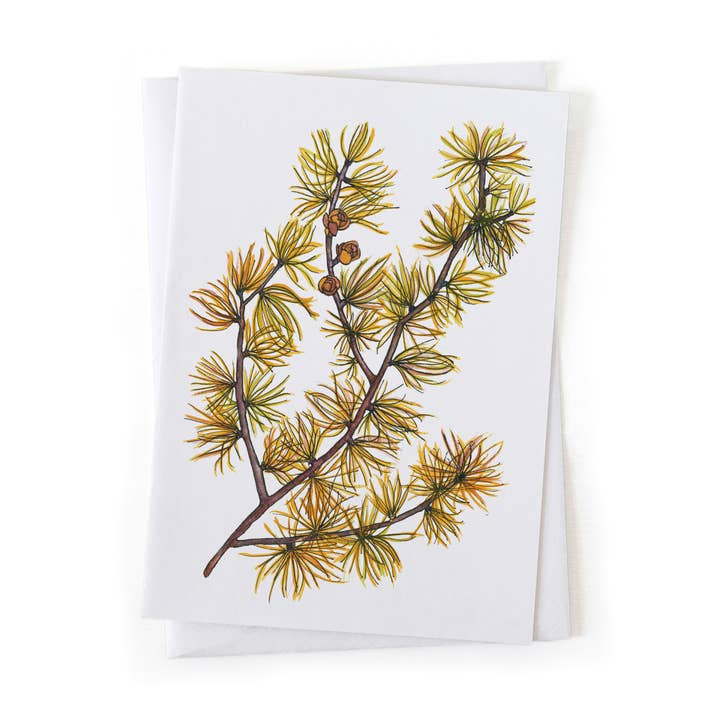 Tamarack Larch Tree Fall Leaves Tree Botanical 5x7 Card for wholesale by Wander & Gather