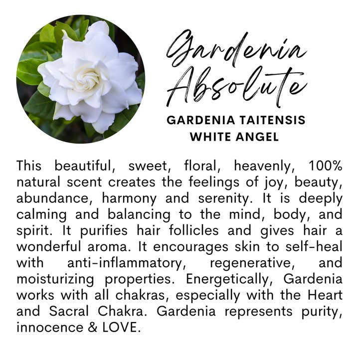 The Sacred Essence - Wholesale Hair Serum - DIVINE - Super Lightweight Full Spectrum Hair Serum25