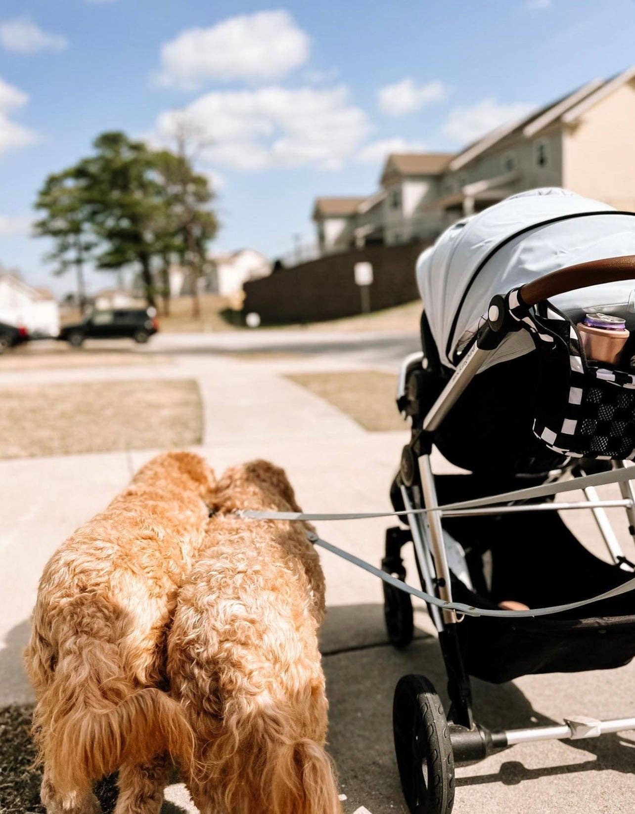 Ruff N' Fluff - Wholesale Pet Leash - Dog - The Harper System (All in One)3