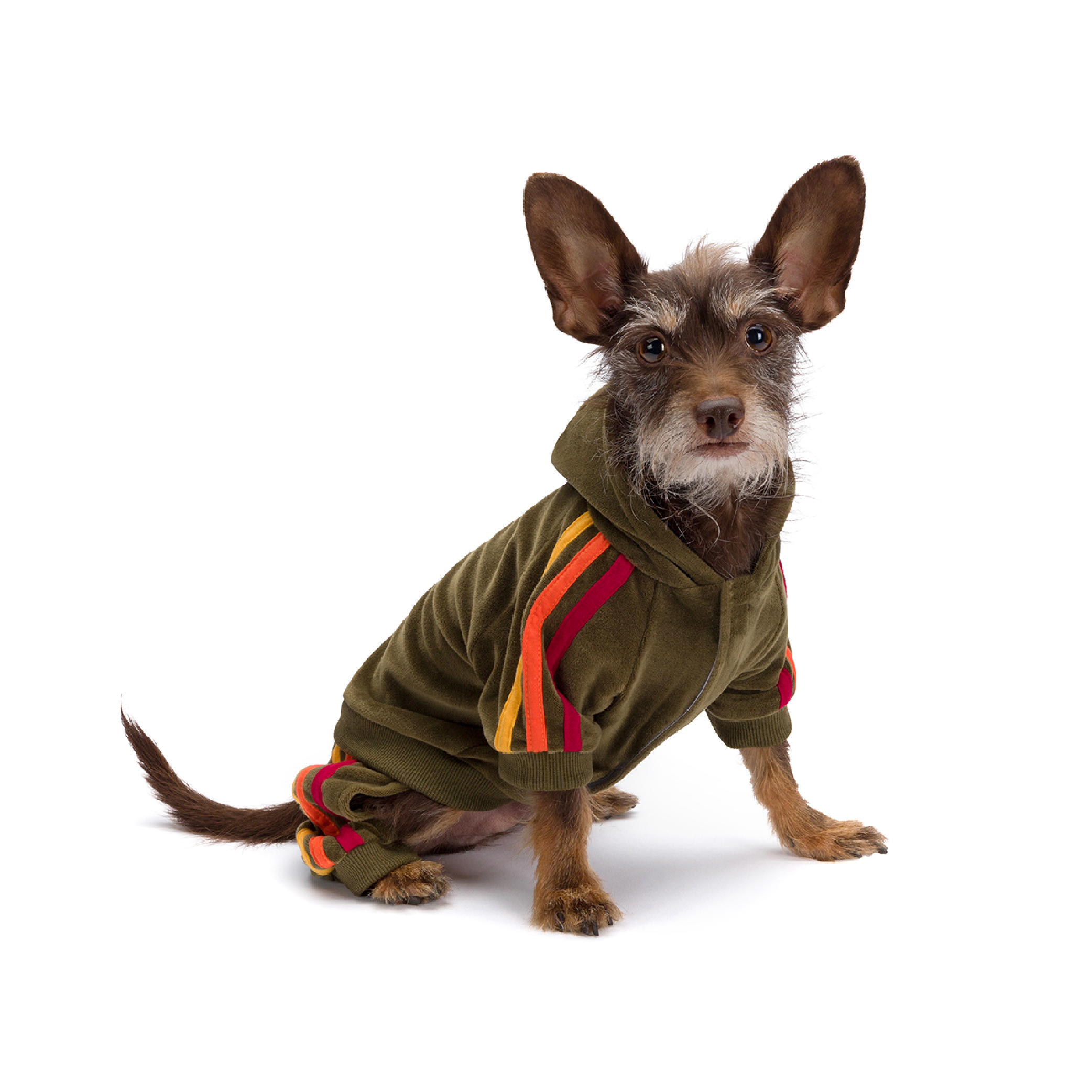 fabdog - Wholesale Pet Hoodie - Dog - Olive Velour Jogger1