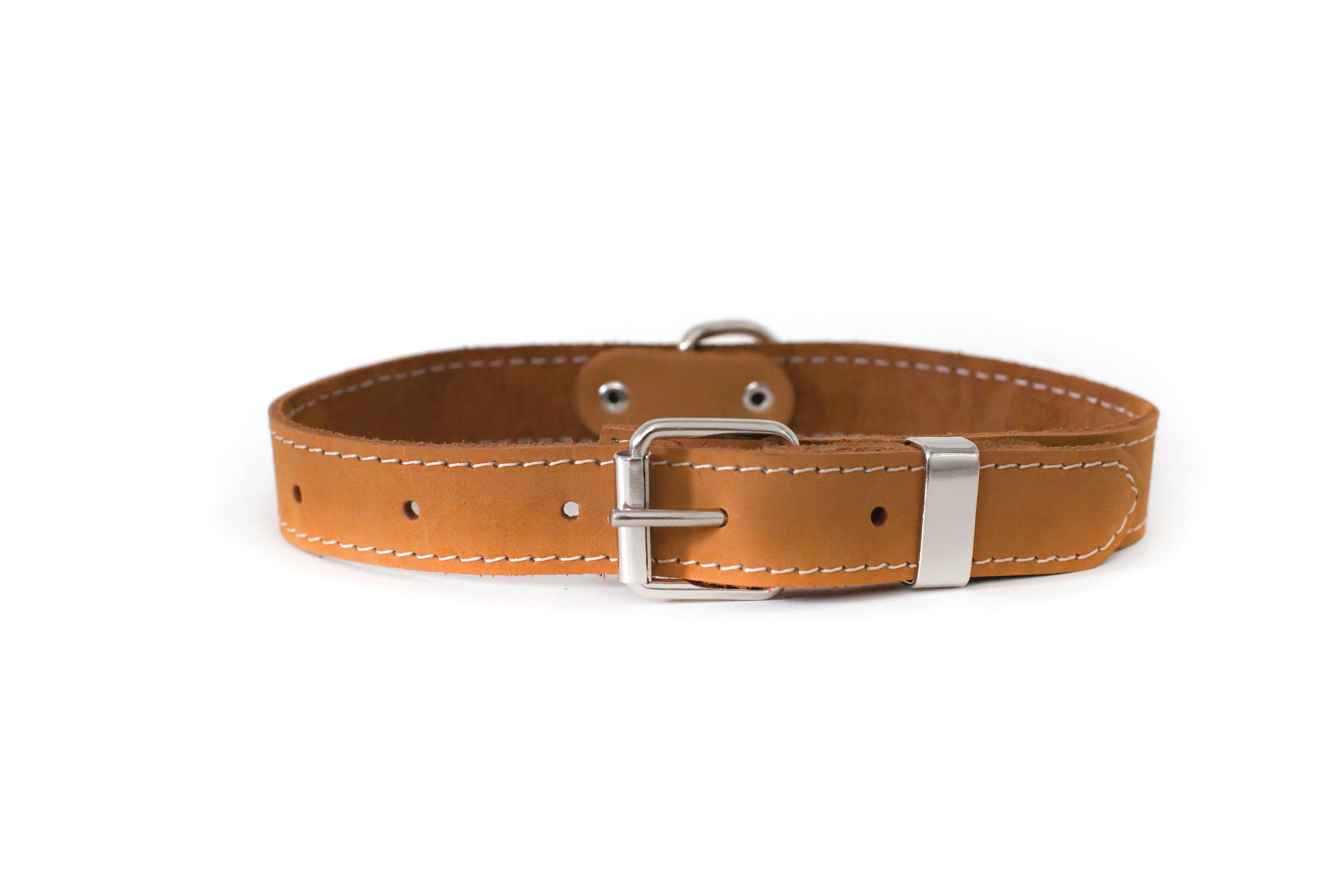 Euro-Dog Collars and Leads – coleira - Cão por atacado – Coleira de Couro para Cão Macia Estilo Tradicional de Caça Aço1