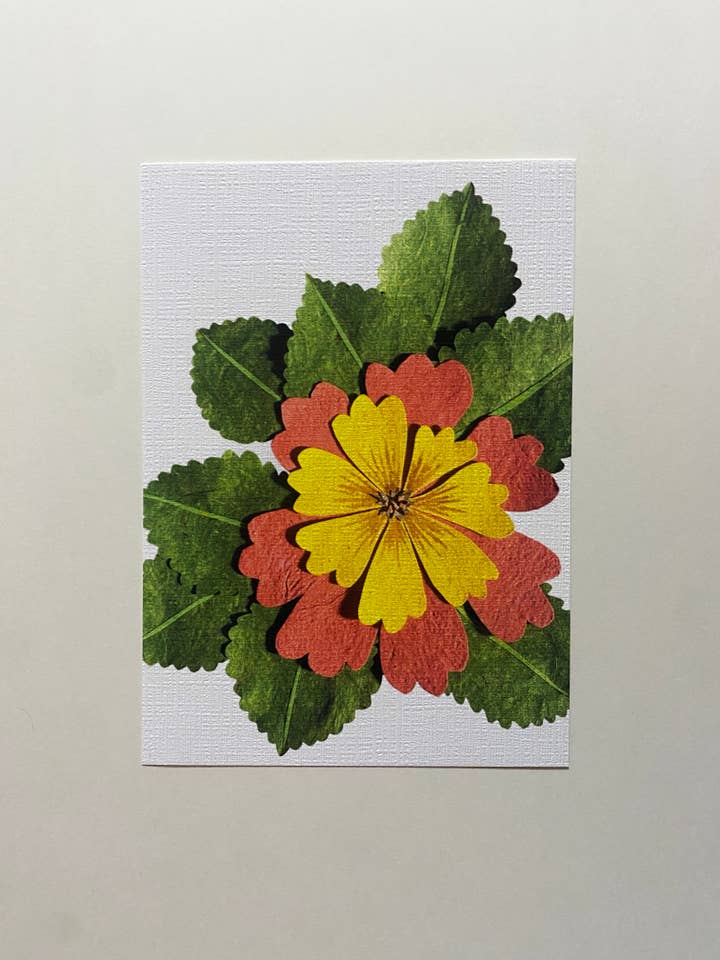 Common Eminent Ardentia print for wholesale by Nevada Tribble Art