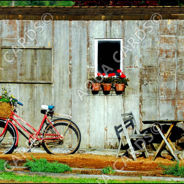 1089 - Tomarse un descanso para venta al por mayor de Aqua Cards