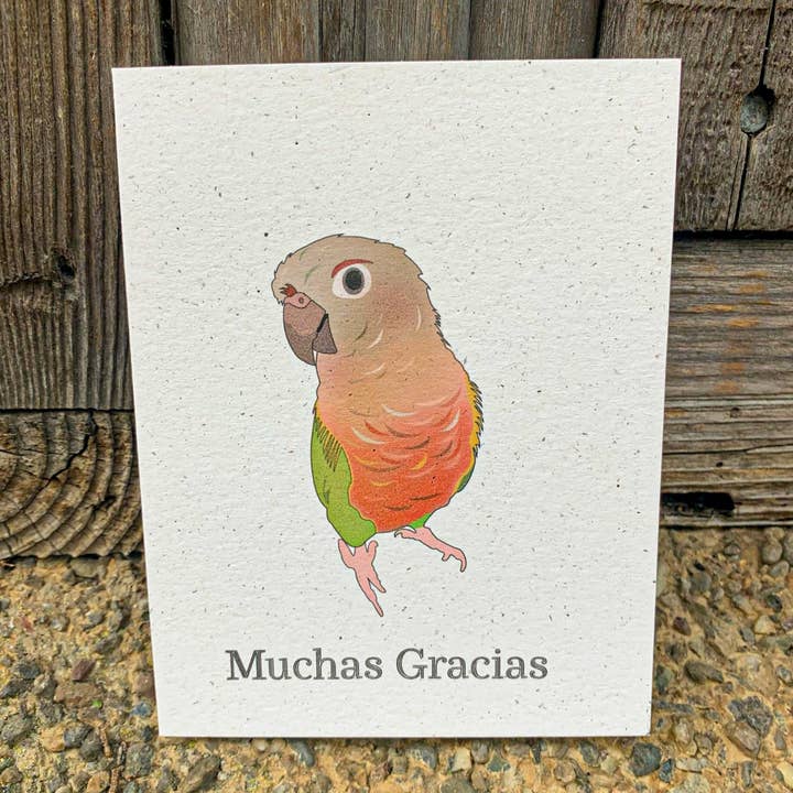 Muchas Gracias - Conure de Ananás por atacado de Hakuna Matata Vibes