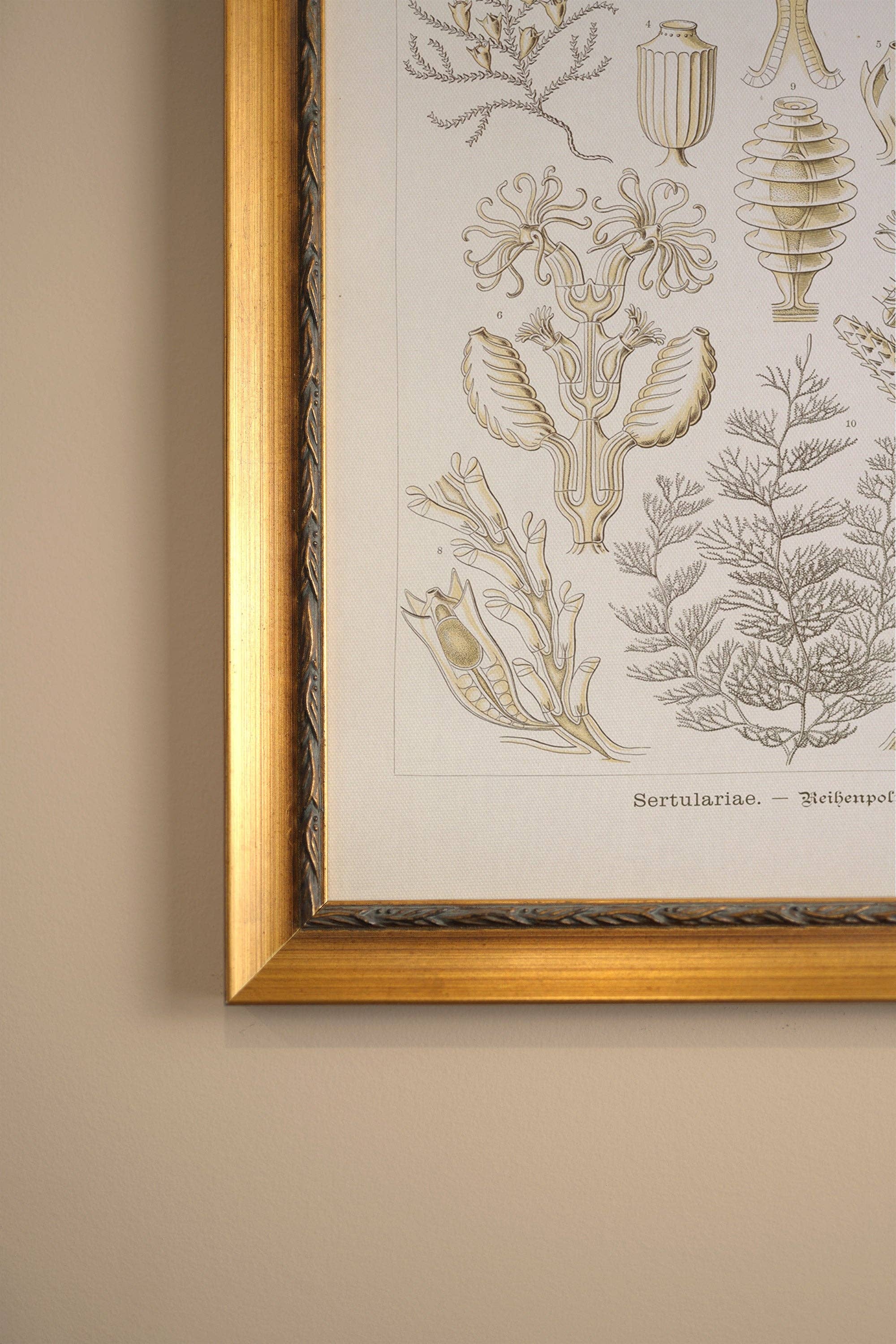 Oleka Canvas - Wholesale Art Print - ESSENCE MARINE, canvas wall art print1