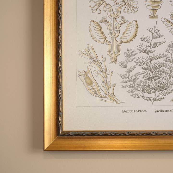 Oleka Canvas - Wholesale Art Print - ESSENCE MARINE, canvas wall art print1