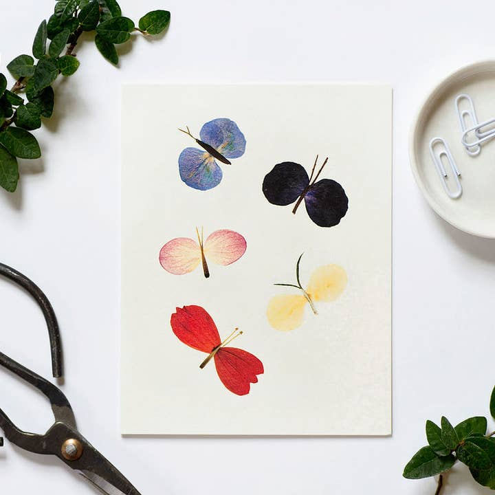 Petal People Press - Wholesale Everyday Greeting Card - Butterfly1