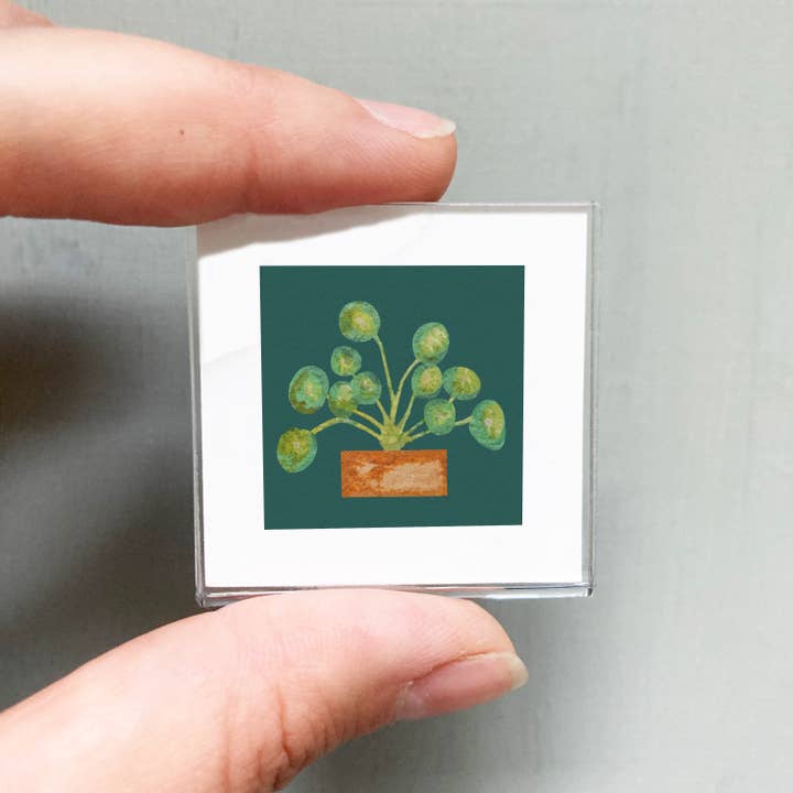 Mick's Art Goods - Wholesale Art Print - Mini 1" Pilea Peperomioides Houseplant Botany Tiny Art Print