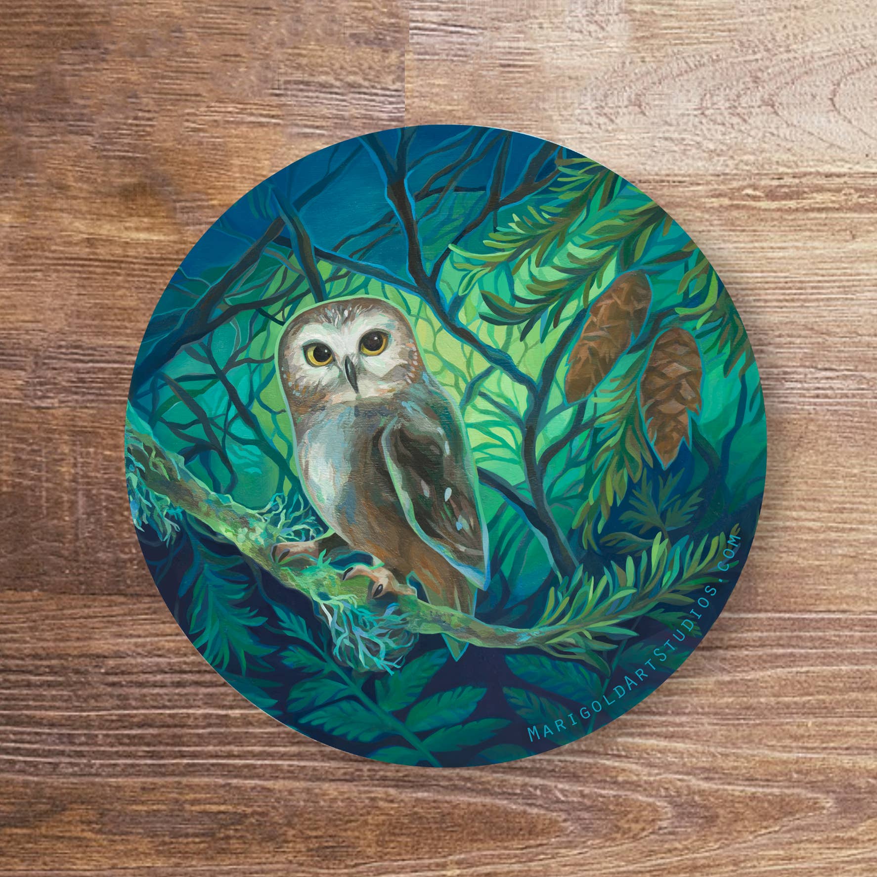Marigold Art Studios - Wholesale Sticker - Northern Saw Whet Owl Sticker