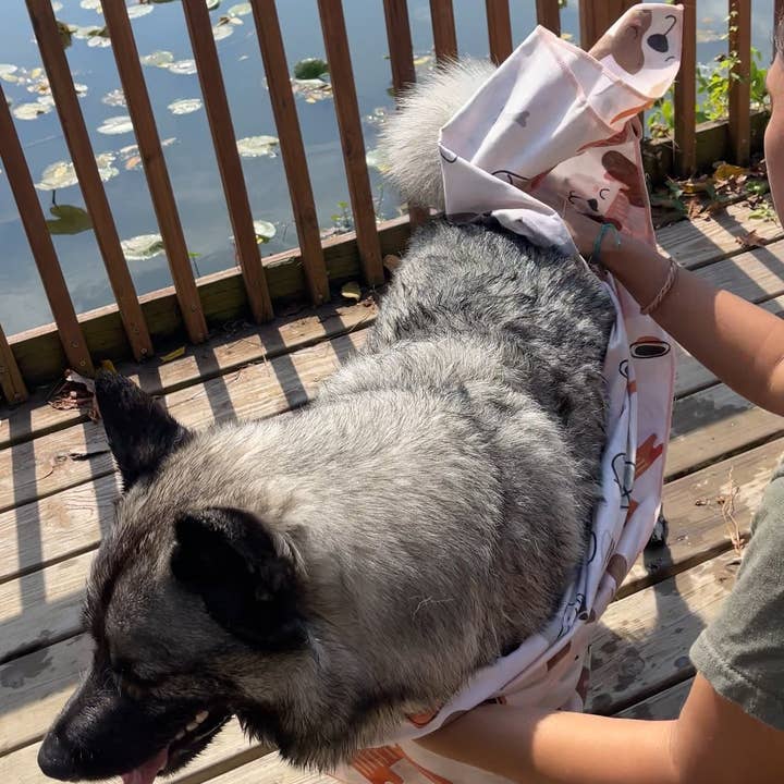 Pouty Paws - Wholesale Pet towel –Dog - Super Absorbent Microfiber Large Dog Towel2