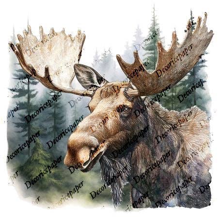 Decoricepaper - Wholesale Craft Supplies - S003 - Mini Rice Paper Set3