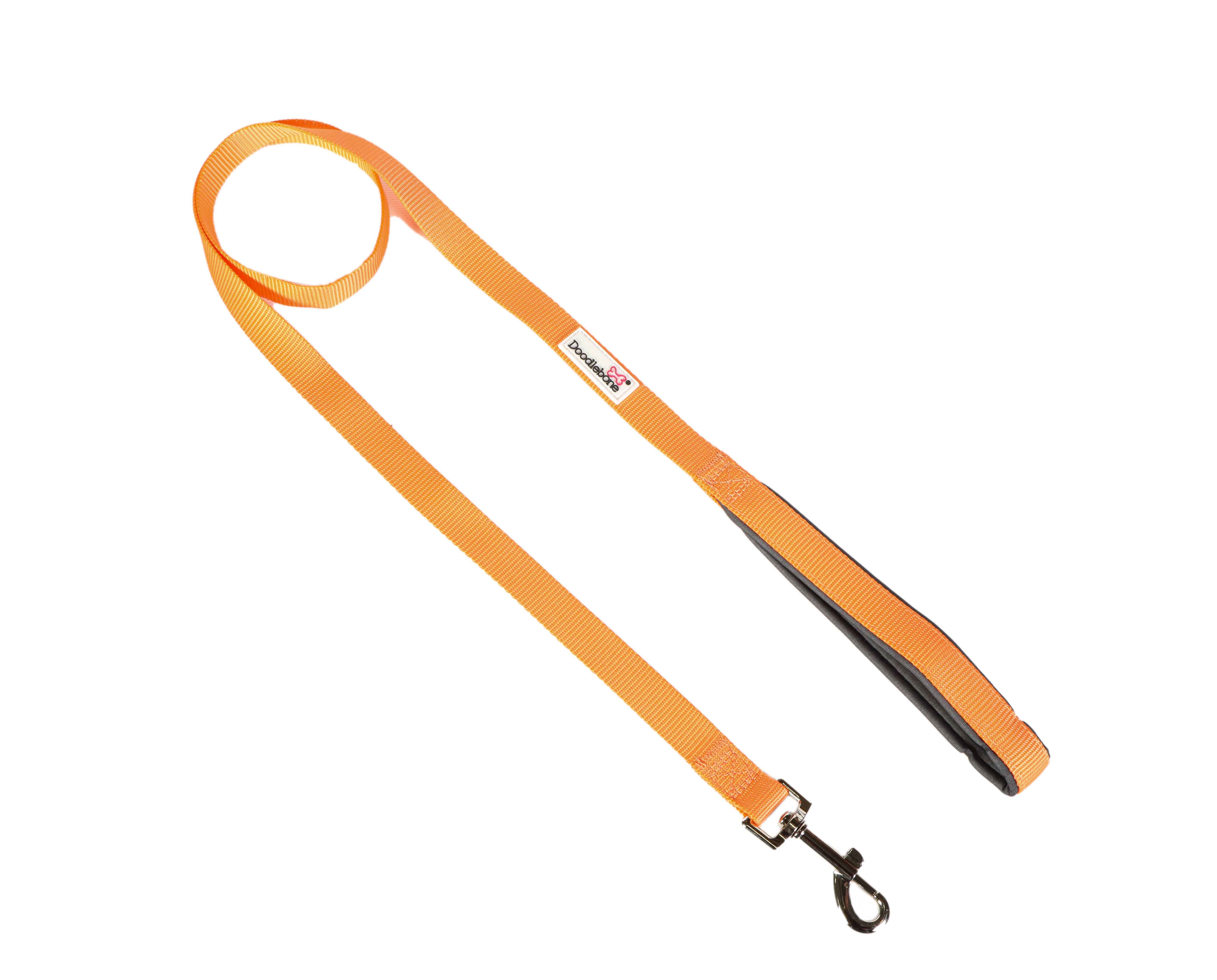 Doodlebone – wholesale Pet leash – Dog – Padded Dog lead6