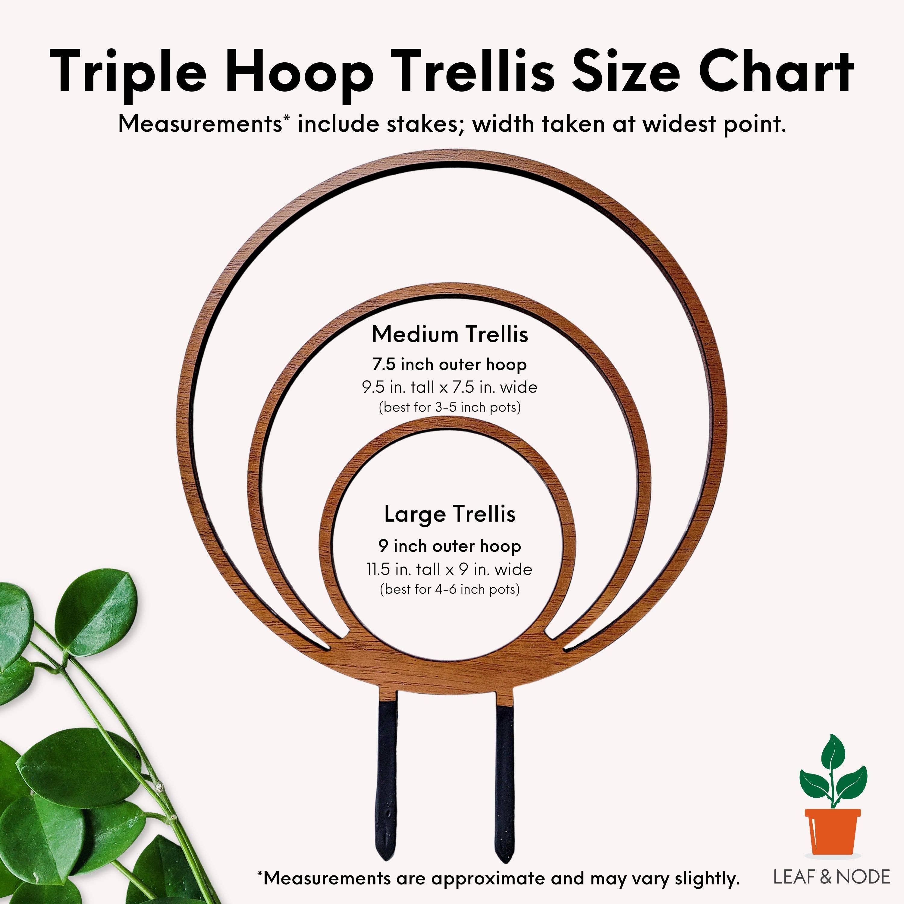 Leaf & Node - Wholesale Trellis - Wood Triple Hoop Indoor Plant Trellis2