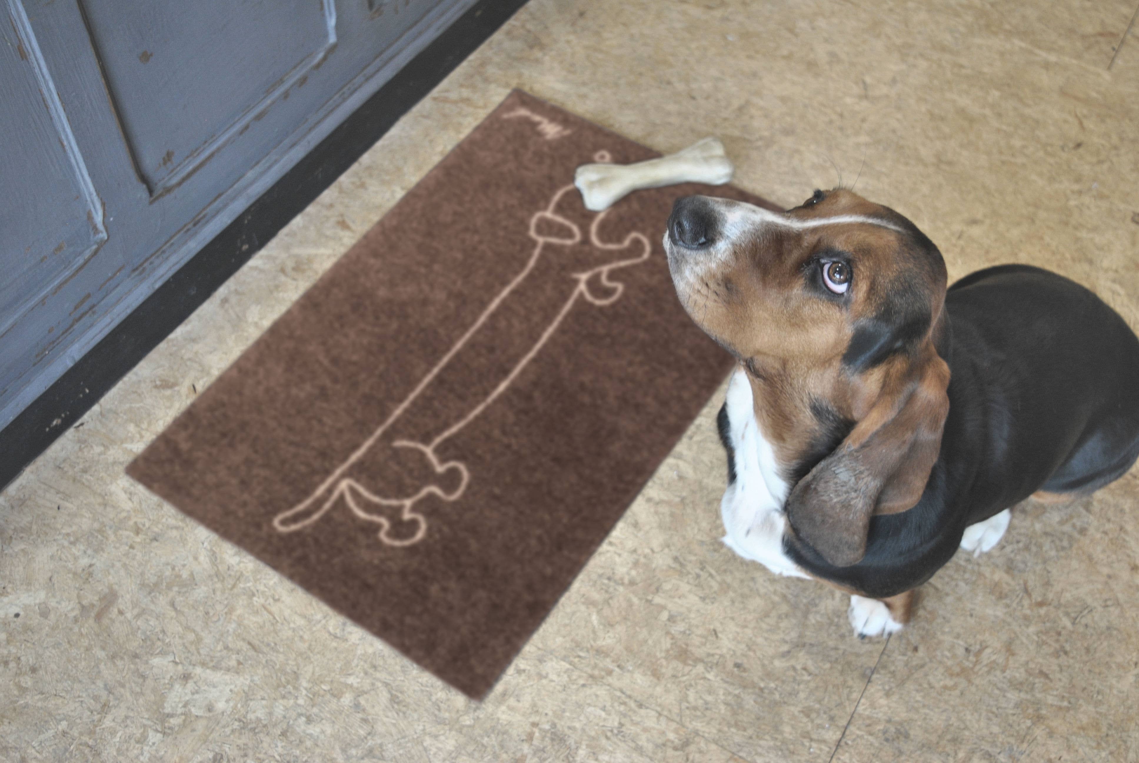 MAD ABOUT MATS - Wholesale Door Mat - CANDY2