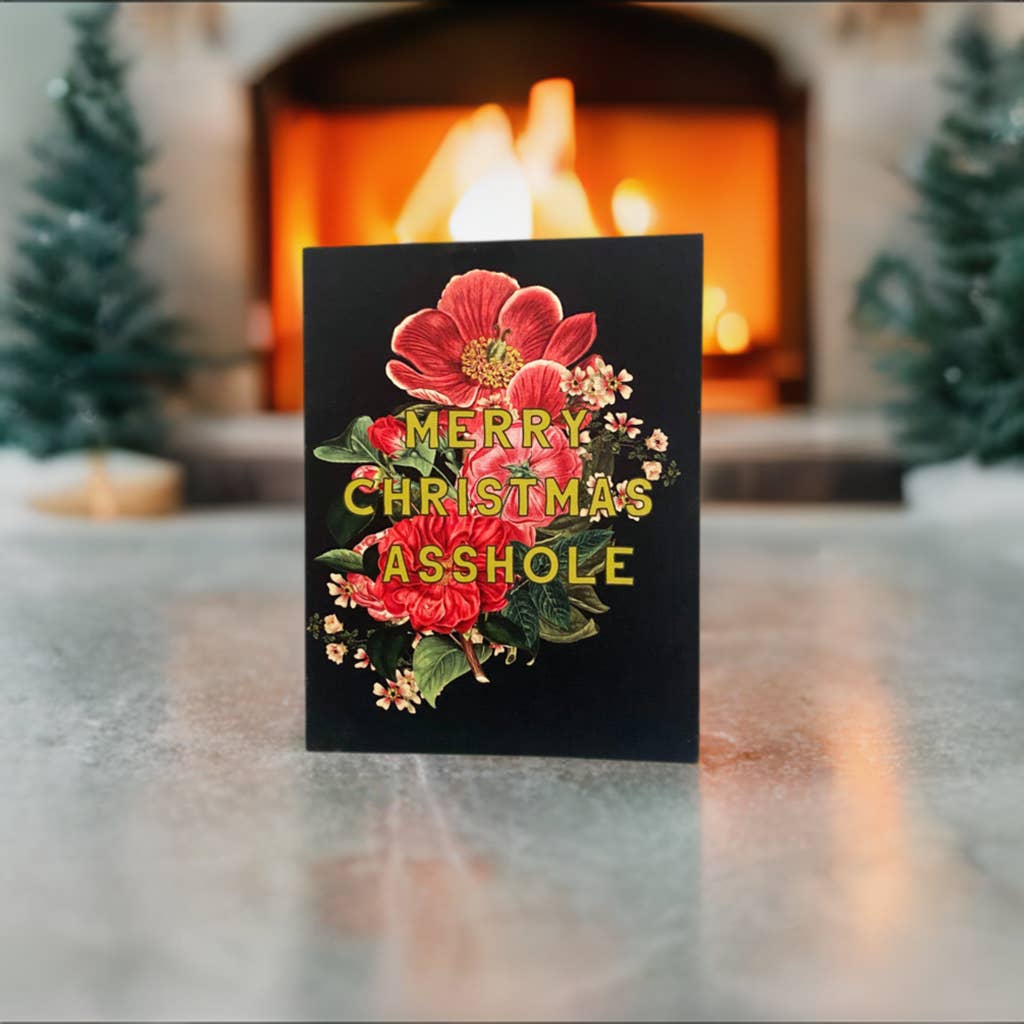 The Coin Laundry – wholesale Christmas card – Merry Christmas Asshole Box Set of 10 Cards