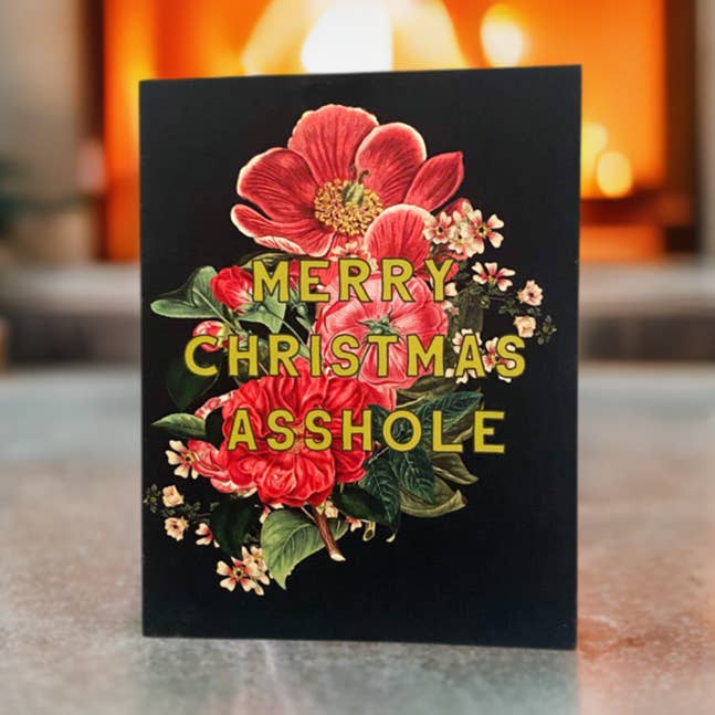 The Coin Laundry – wholesale Christmas card – Merry Christmas Asshole Box Set of 10 Cards0