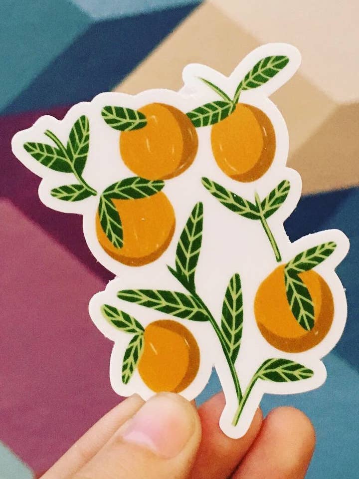 Adesivo in vinile fatto a mano arance | Adesivo impermeabile | Adesivo botanico arancione | Adesi per la vendita all'ingrosso da parte di Frankie Blue