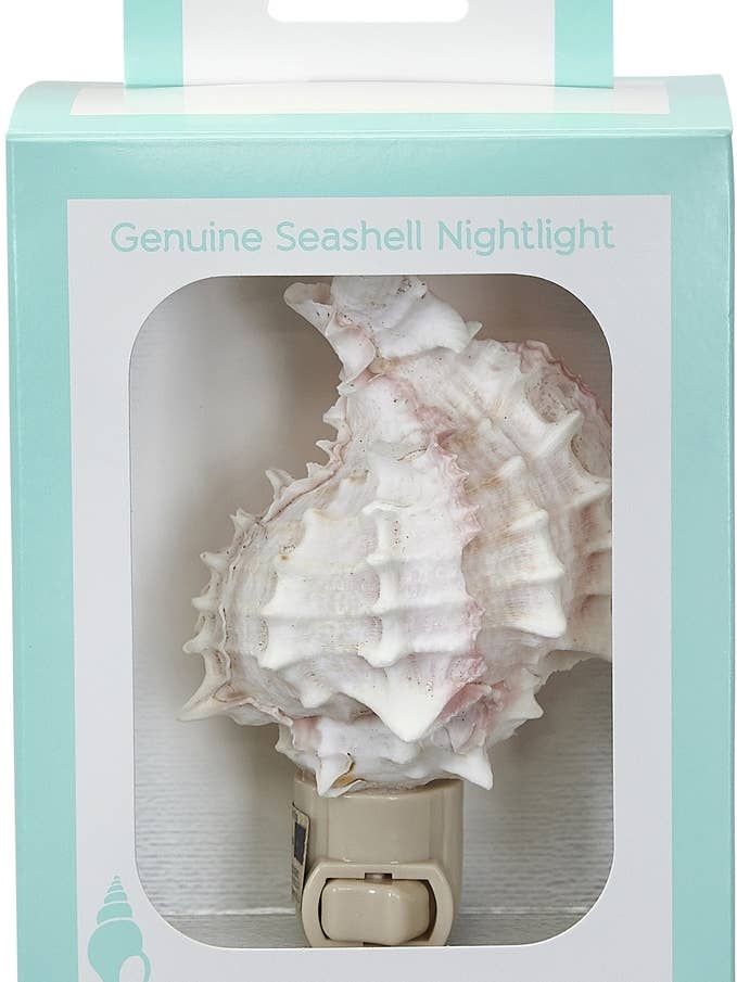 Pink Murex Boxed LED Night Light for wholesale by HS Seashells