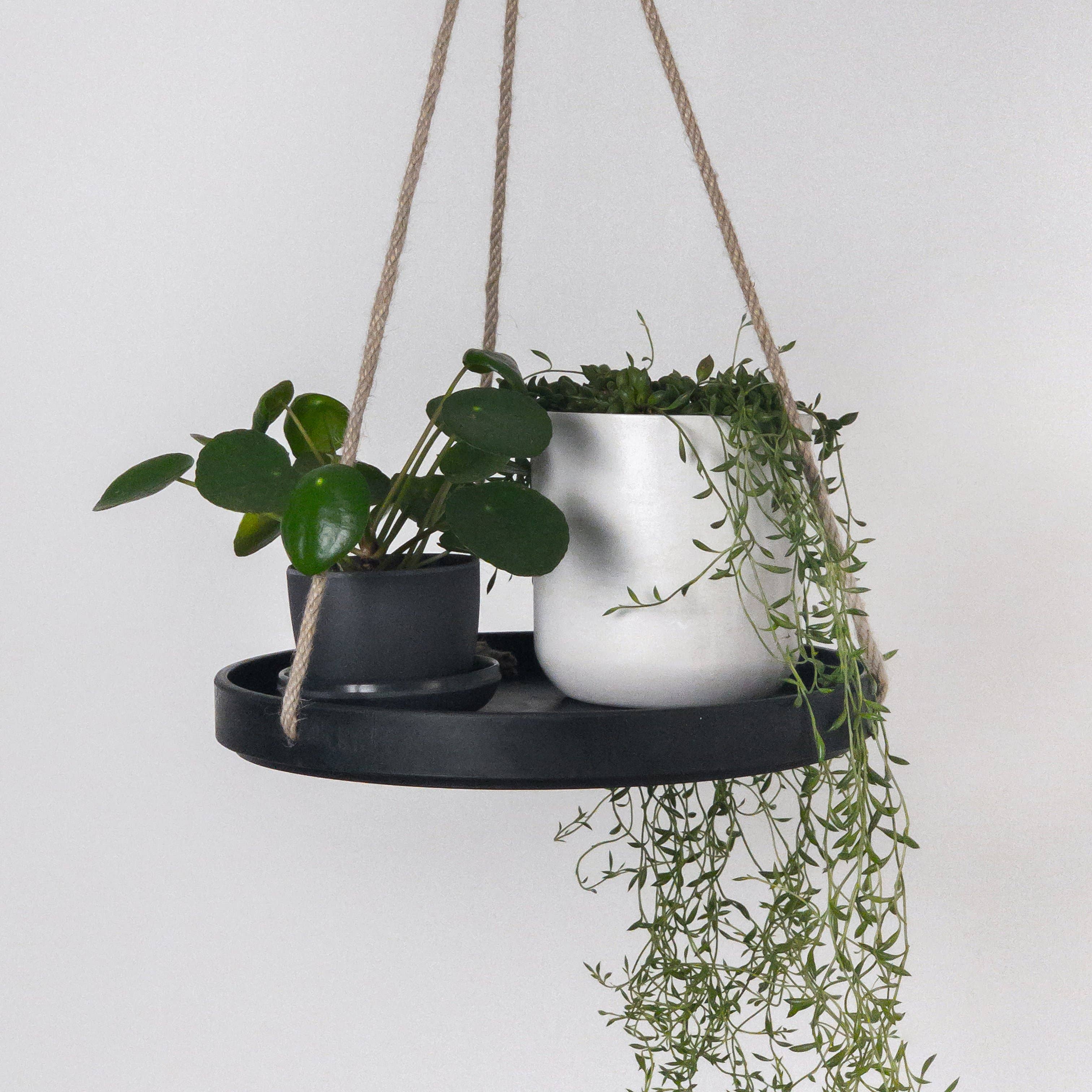 Kanso Designs - Wholesale Hanging Planter - 10" Signature Stone Hanging Tray6
