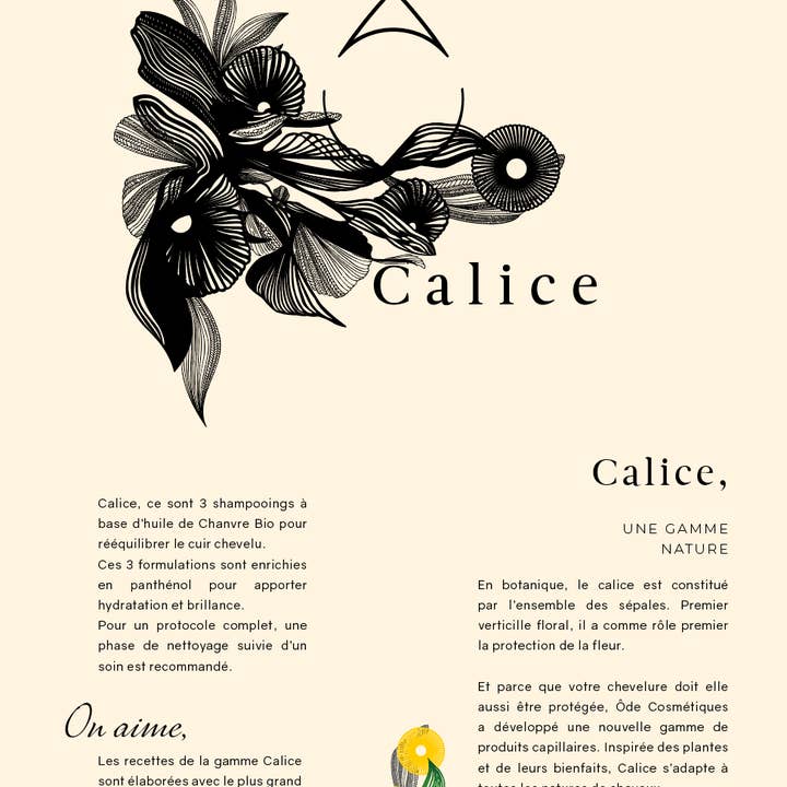 ODE COSMETIQUES - Wholesale Hair Serum - CALICE Natural Hair Serum
50 ml3