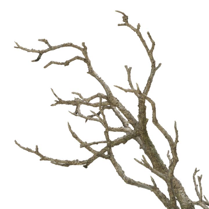 Tripar International - Wholesale Christmas Decoration - 72" and 96" Deadwood Trees