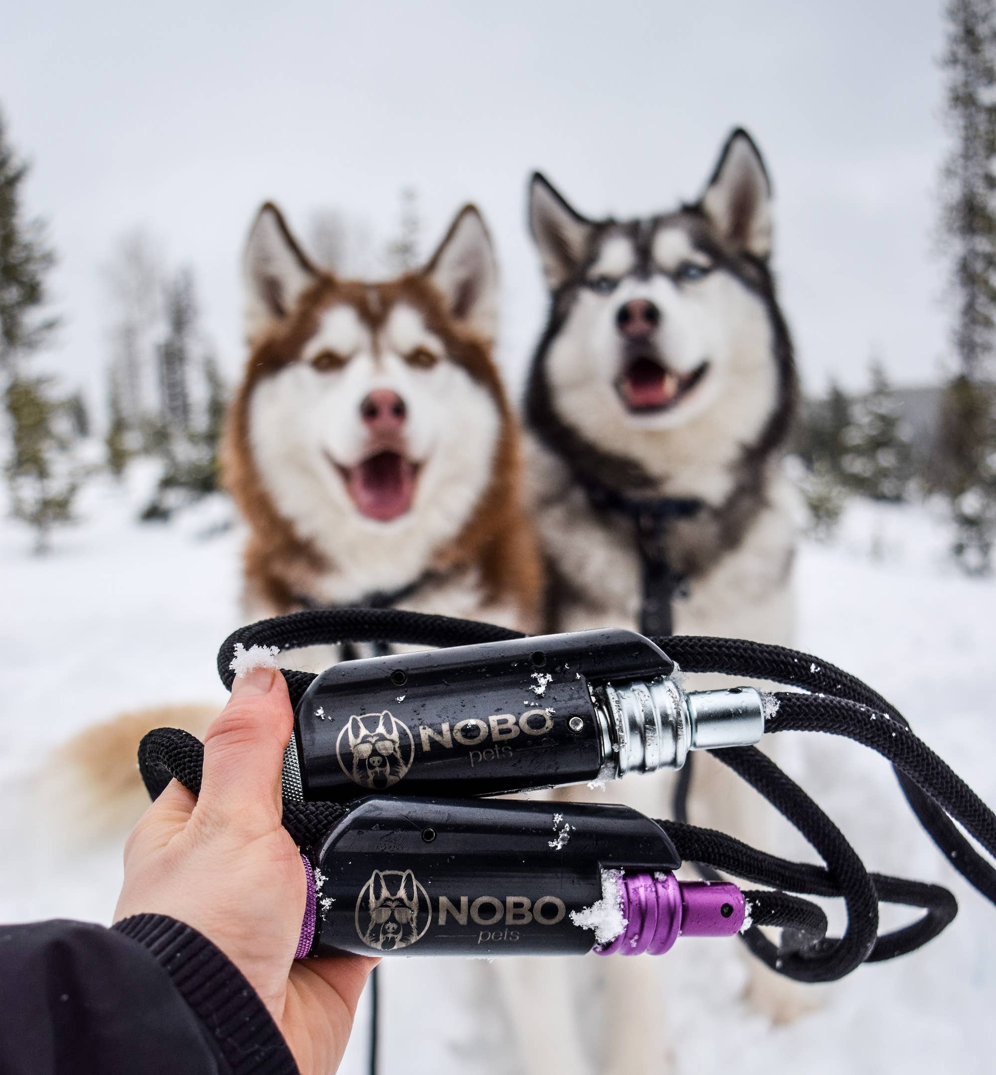 NOBO Pets - Wholesale Pet Leash - Dog - NOBO Leash5