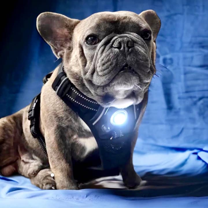 Headlight Harness - Wholesale Pet harness – Dog - Headlight Harness LED Reflective Dog/Cat Harness6