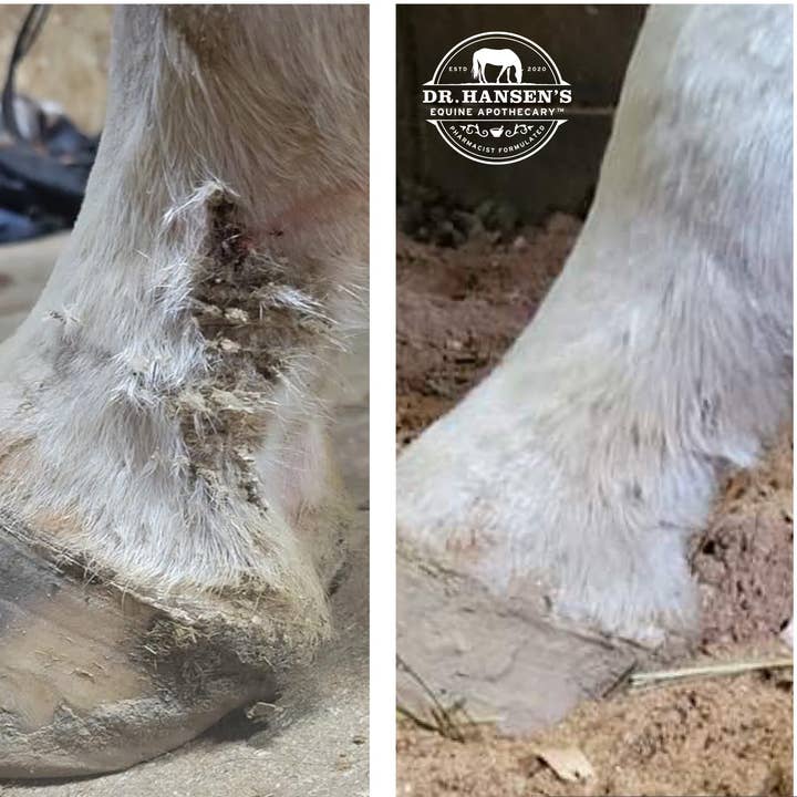 Dr. Hansen's Equine Apothecary - Wholesale Horse Conditioner/Grooming Aid - Formula 44 Ointment14