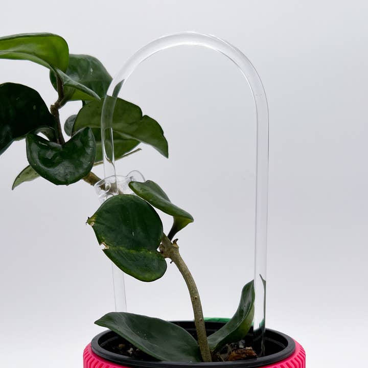 Propagation Diaries - Wholesale Trellis - 9” Acrylic Hoop Trellis (5 pcs)0