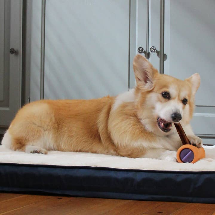 Bow Wow Labs - Wholesale Pet Treats - Dog - Collagen Sticks4