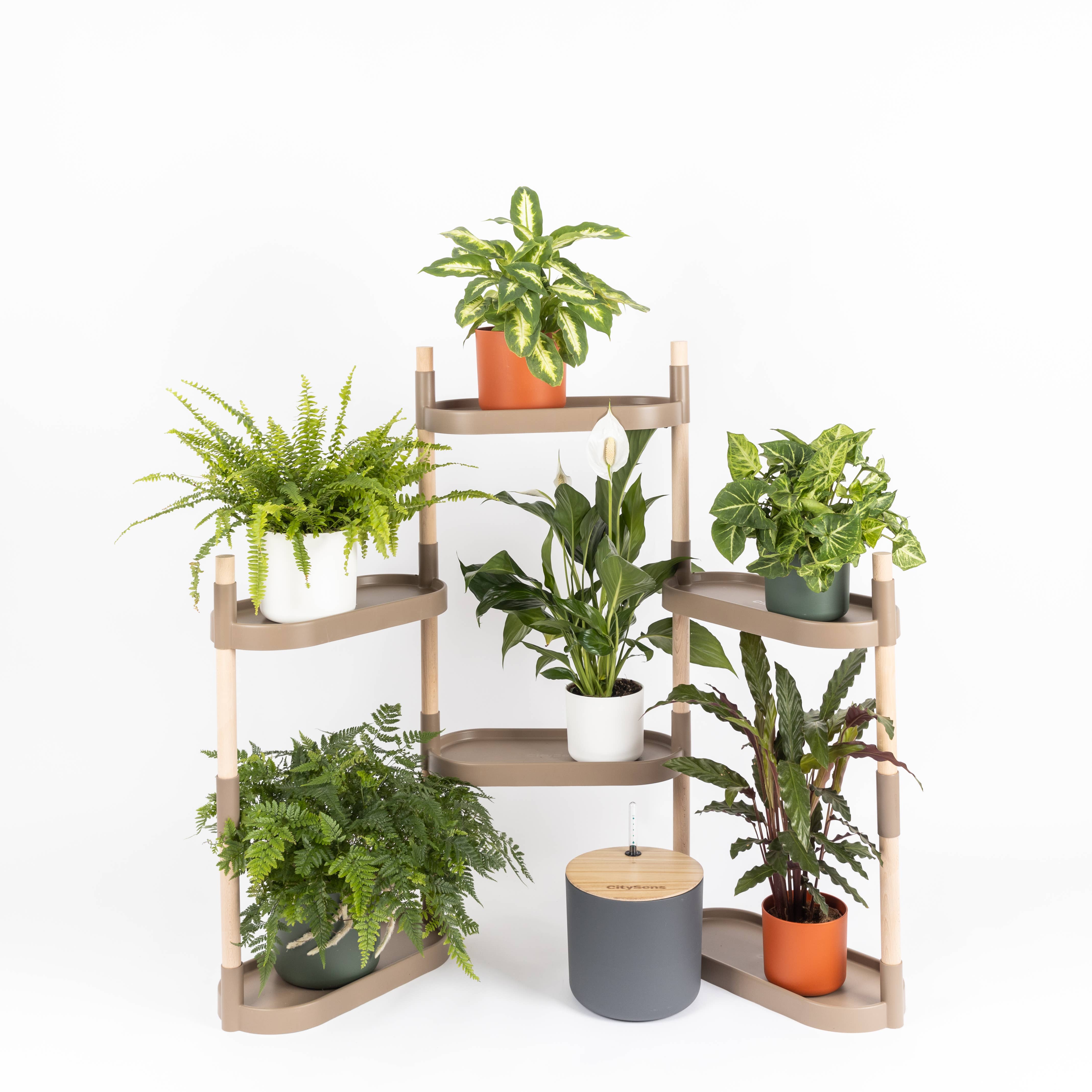 CitySens - Vendita all'ingrosso Mensole da parete - CitySens scaffali modulari per piante con sistema di autoirrigazione8