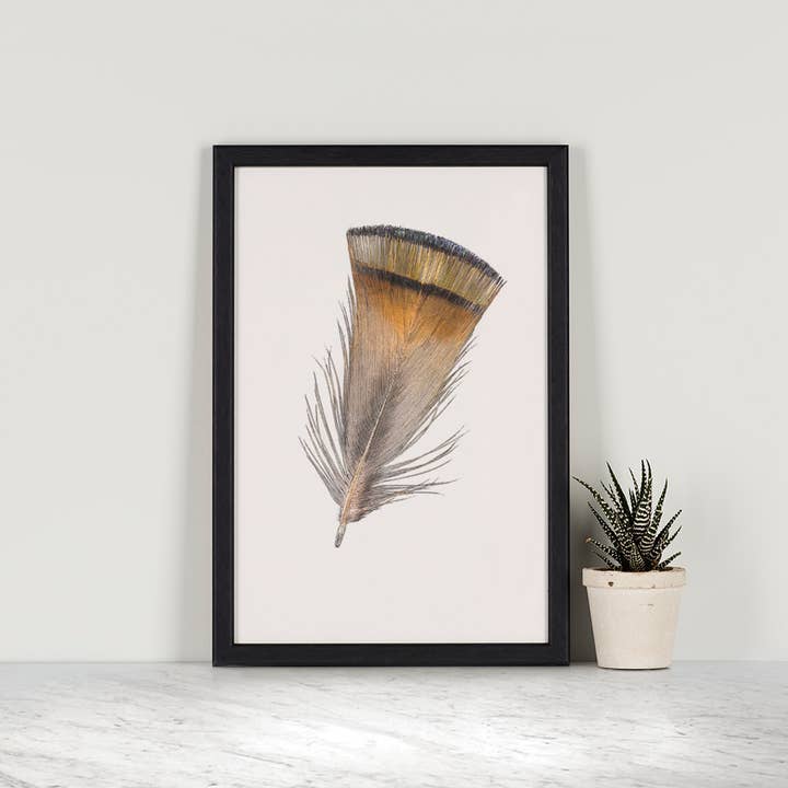 Golden Pheasant Feather Mini Print for wholesale by Hidden Planet