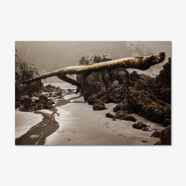 Fotografia - Naufrago per la vendita all'ingrosso da parte di Wallpic