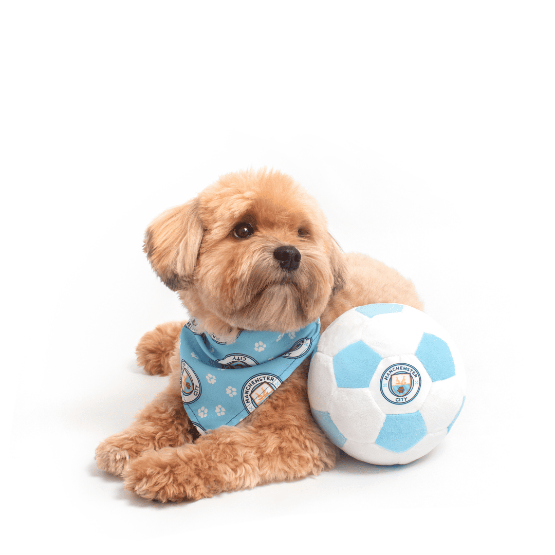 Floofball – Großhandel Plüschtier – Hund – Manchester City Plüsch-Fußball-Hundespielzeug1