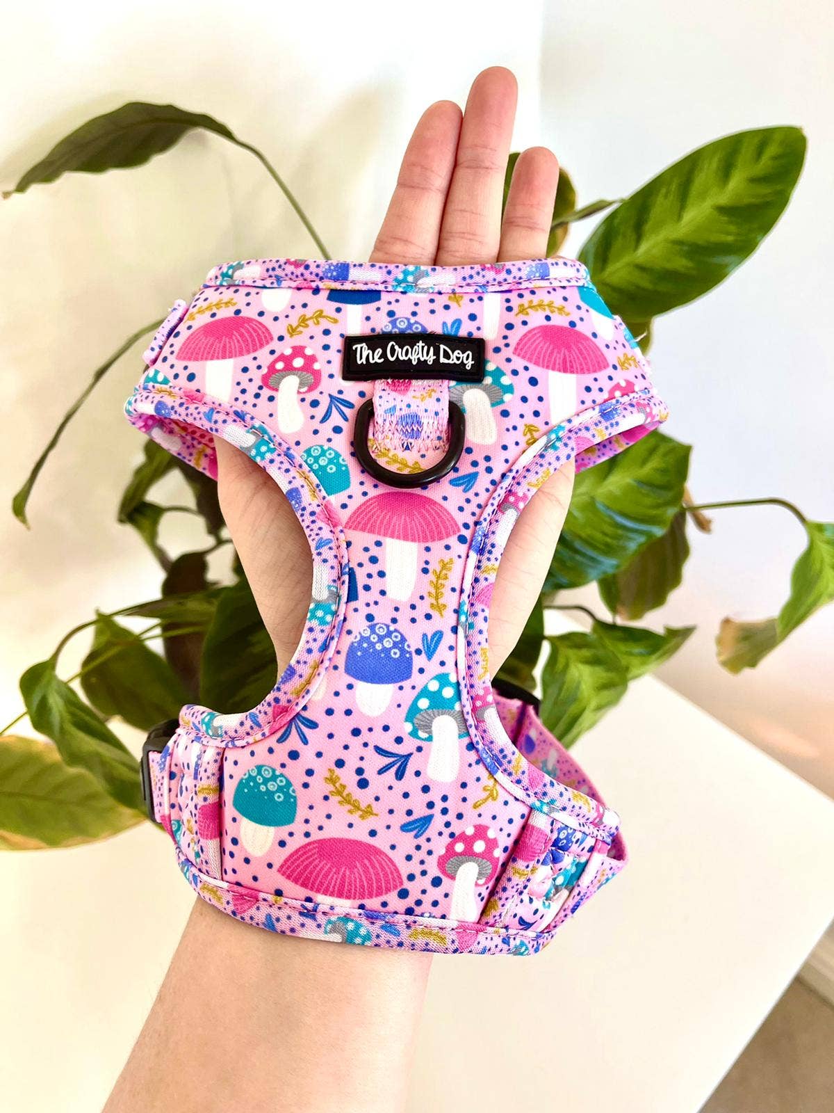 The Crafty Dog Co – Großhandel Haustiergeschirr – Hund – Rougegurt-Geschirr7