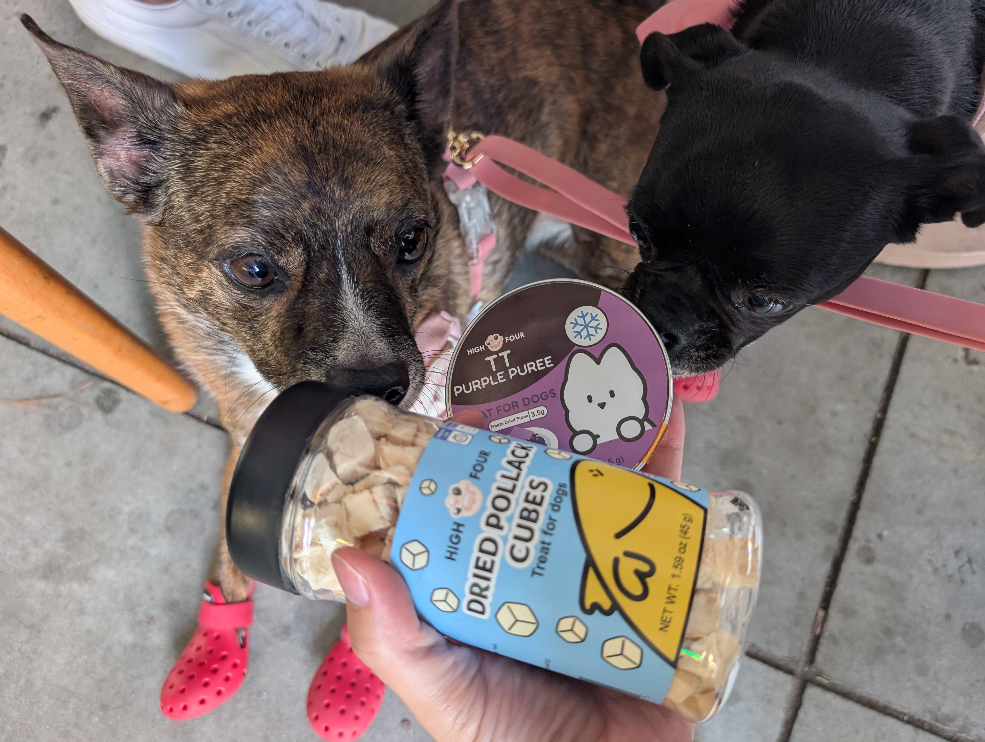 HIGH FOUR - Vente Friandises – chien - Haut Quatre TT Purée Violette Saine pour Chiens2