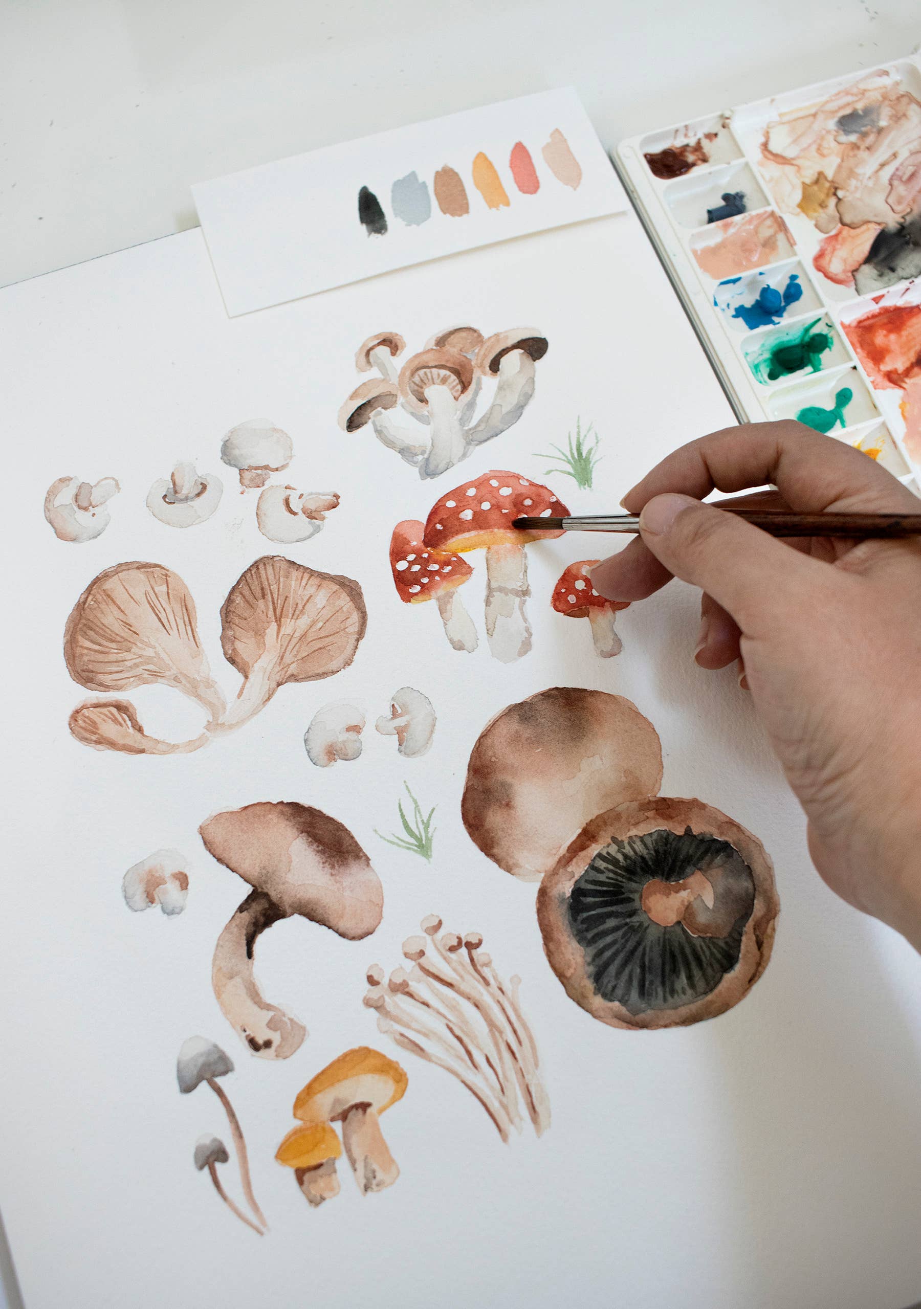 Easy Sunday Club – Impressão artística por atacado – Impressão artística de variedade de cogumelos2