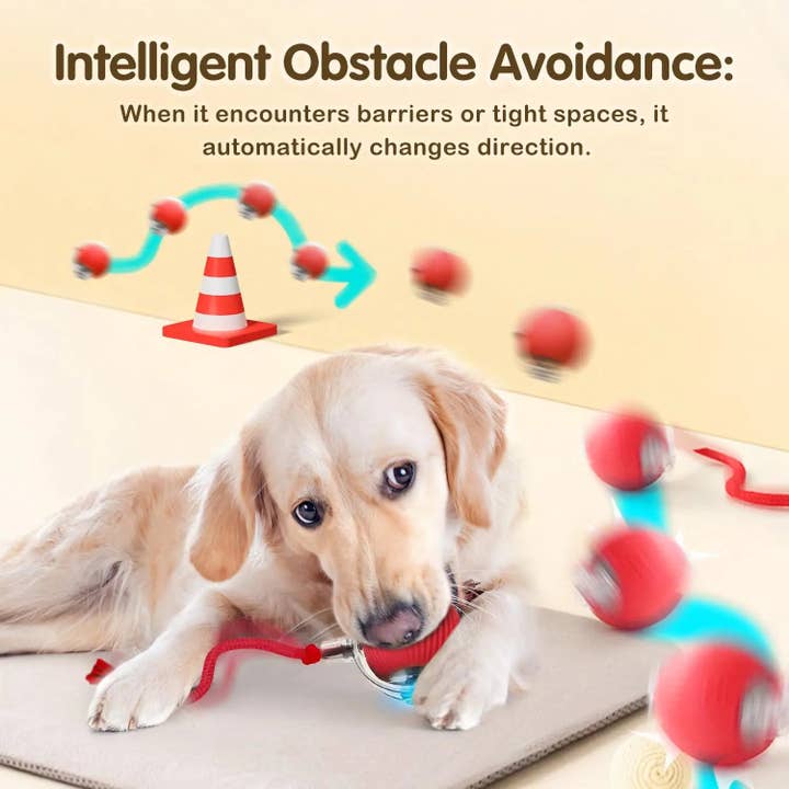 DIYSTORE – wholesale Pet toy – Cat – Cat Interactive Ball Toy, Automatic Rolling Ball with Tail, Rechargeable Smart Pet Interactive Toy, Intelligent Mouse for Cat