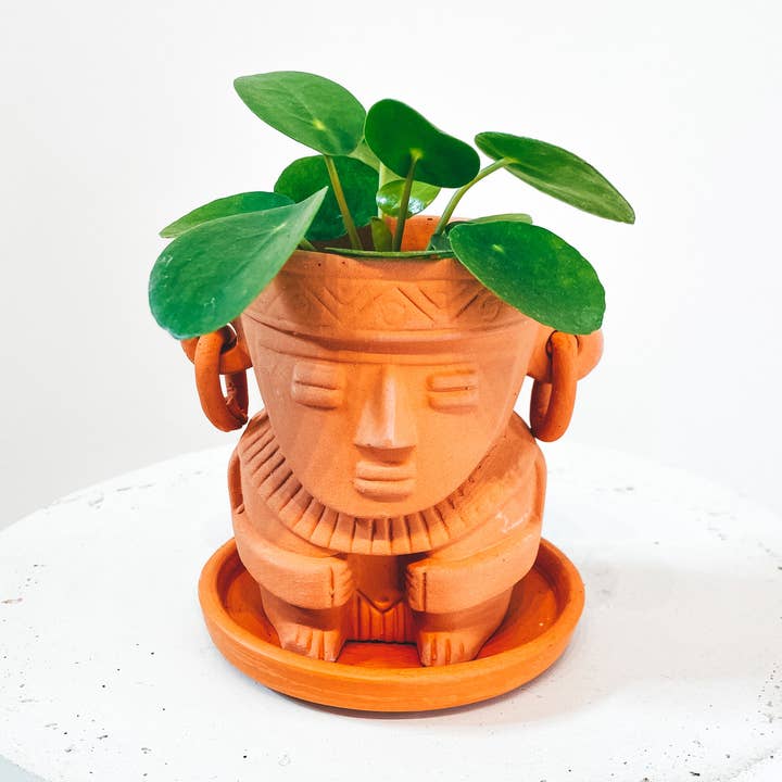 BOHO DECO - Vendita all'ingrosso Vasi per piante - 12 X Vaso in terracotta faccia uomo Muisca D9 H12 (RRP €16)0