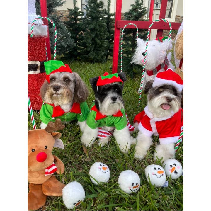 Midlee Designs - Wholesale Pet Plush Toy - Dog - Midlee Snowball Fight Plush Dog Toy6