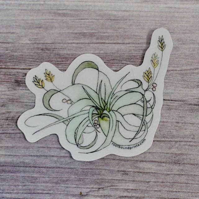 Tillandsia Sticker for wholesale by Rootbound