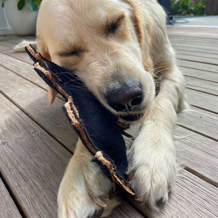 Outback Tails - Wholesale Pet plush toy – Dog - Outback Felt Toy - Tassie Devil5