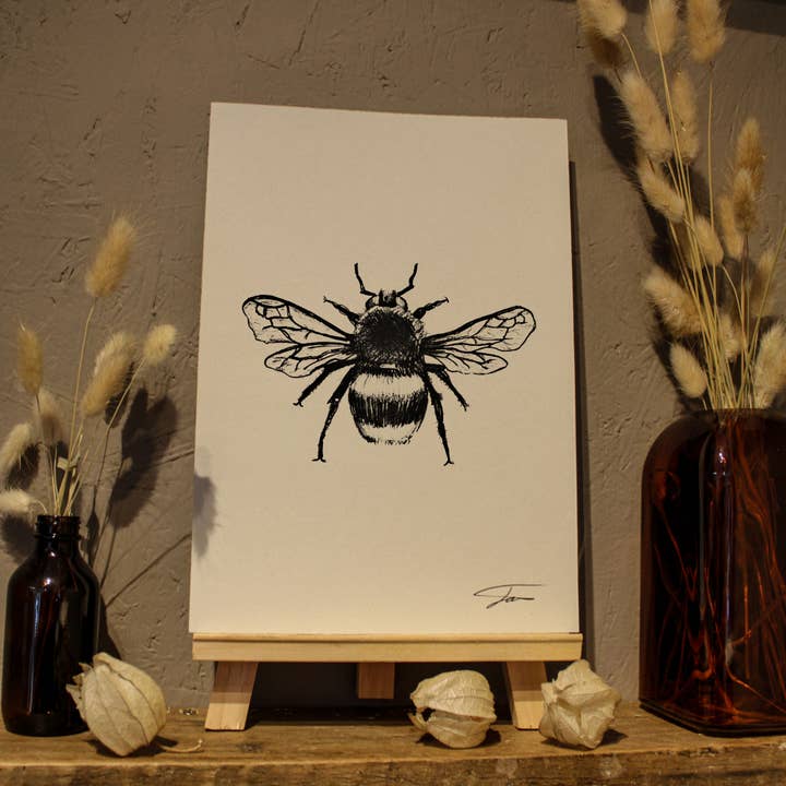 Impressão artística de abelha desenhada à mão de Jack Wotton, Wildlife por atacado de Studio Wotton