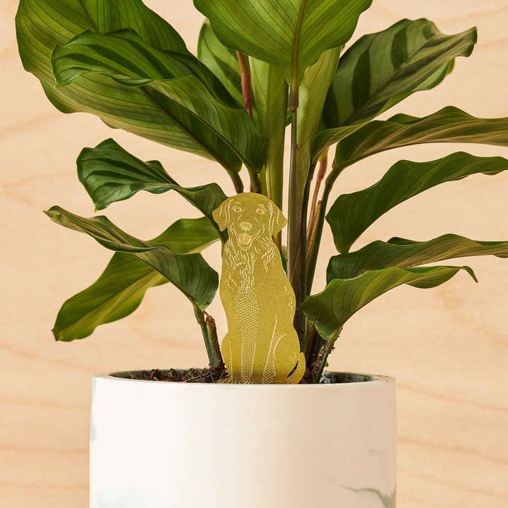 Labrador Dog, Plant Animal Pet, Houseplant Decoration for wholesale by Another Studio UK